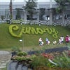 Foto Cimory Restaurant and Milk Factory, Semarang