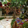 Wynn Resorts