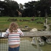 San Francisco Zoo