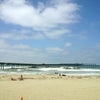 Ocean Beach
