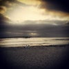 Ocean Beach