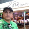 Aria