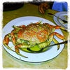 PPQ Dungeness Island