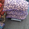 Фото Тульский сельскохозяйственный рынок
