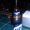 The Brit