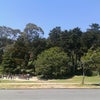 Golden Gate Park