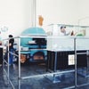 Una Pizza Napoletana