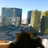 Monte Carlo