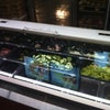 Фото Subway