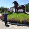 Фото Яр Отель