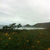 Praia Mole
