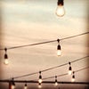 Nellie's Sports Bar
