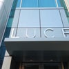 Luce