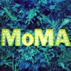 Museum of Modern Art (MoMA)