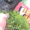 Foursquare Photo