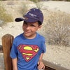 The Living Desert