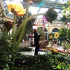 Bellagio