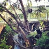 San Diego Zoo