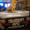 MGM Grand Hotel & Casino