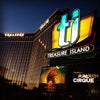 The Venetian Resort Hotel