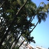 Honolulu International Airport