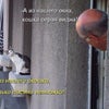 Фото Патрик & Мари