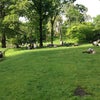 Central Park