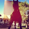 Wynn Resorts