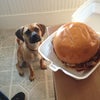 Pitstop BBQ