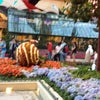 Bellagio