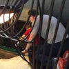 City Museum