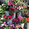 Borough Market