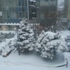 Фото ЮФУ