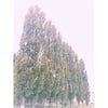 Фото ЮФУ