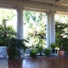 The Huntington