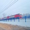Фото ЮФУ