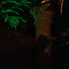 La Noche Martini Lounge
