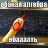 Фото ЮФУ