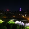 The High Line
