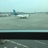 Toronto Pearson International Airport (YYZ)