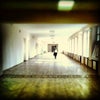 Фото ЮФУ