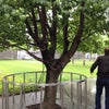 National September 11 Memorial
