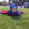 Фото Арена