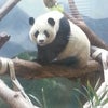 Zoo Atlanta
