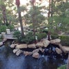 JW Marriott Las Vegas Resort and Spa