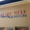 Shark Reef