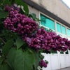 Фото ЮФУ