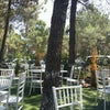 trabzon park ruzgar gulu