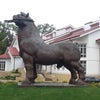 Фото Яр Отель