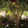 Wynn Resorts